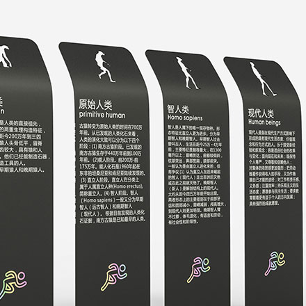 项目实施作品案例展示